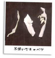 不揃いなキャベツ