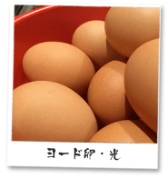 ヨード卵・光
